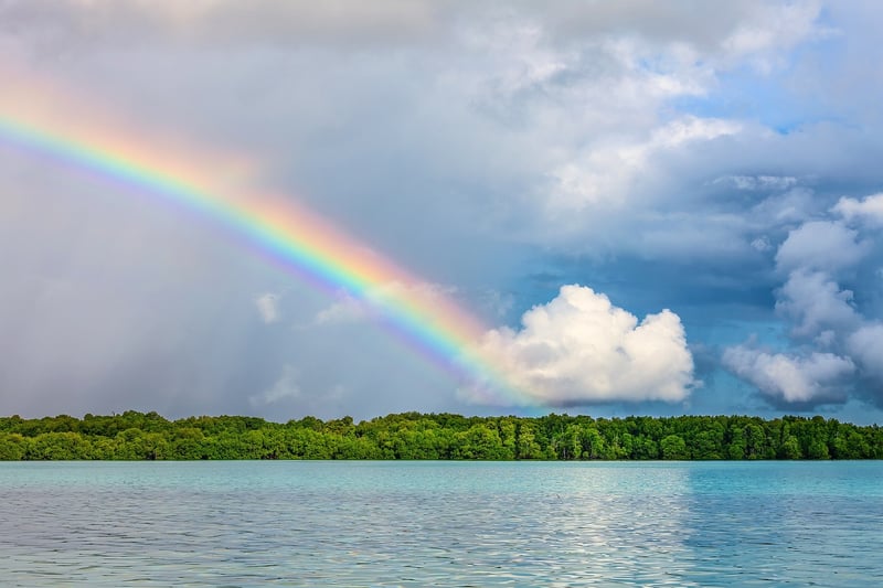 Nature Photography
